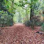 Grand 4 Etoiles A 150 M Des Thermes De Апартаменты *