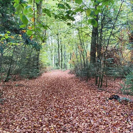 Confort, Proche Foret, Canal Des Vosges Lejlighed *