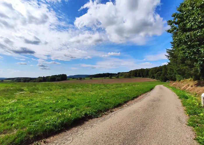 Grand Appartement 4 Etoiles A 150 M Des Thermes De Bains-Les-Bains Apartament Bains-les-Bains